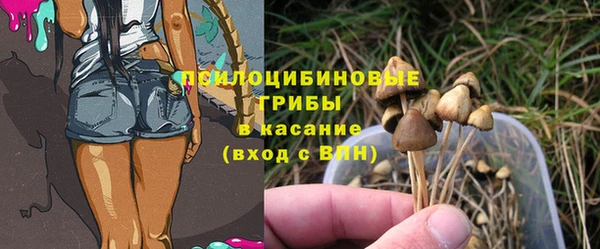 прущая мука Арсеньев